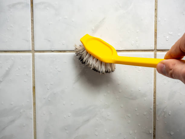 Best Emergency Mold Removal  in Covina, CA