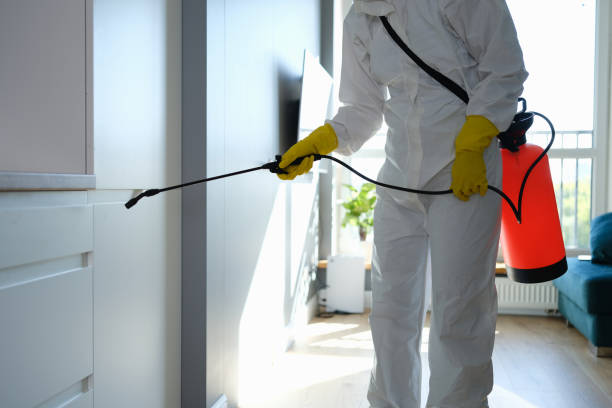 Best Local Mold Removal Service  in Covina, CA