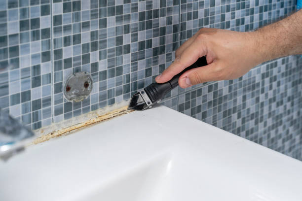 Best Certified Mold Removal  in Covina, CA