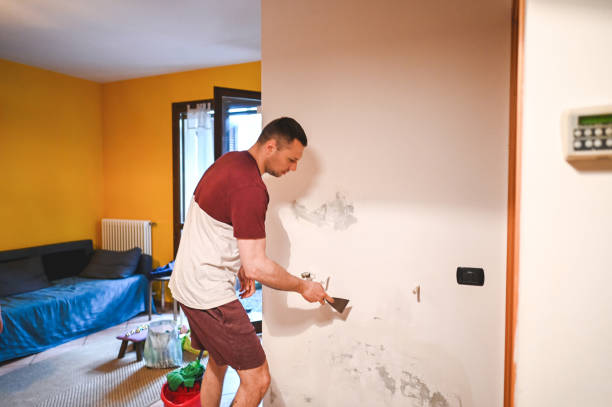 Best Fast Mold Removal  in Covina, CA
