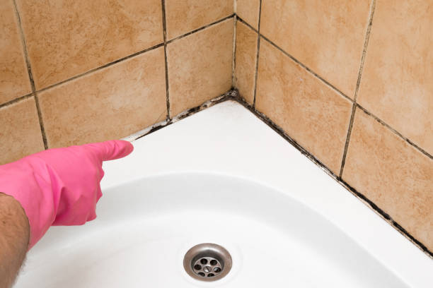 Best Emergency Mold Removal  in Covina, CA